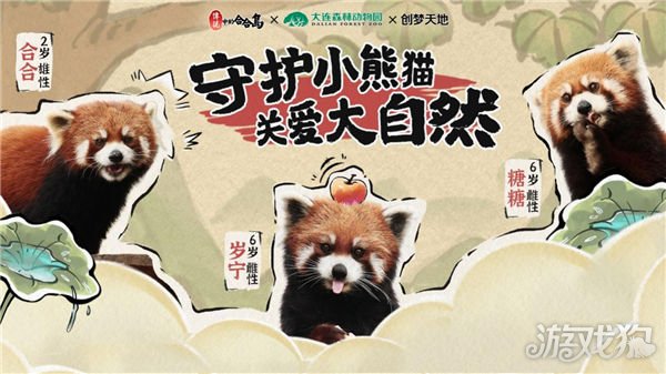 希望olsf私服传说中的合合岛认养濒危小熊猫 用游戏传播公益正能量