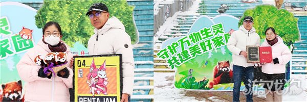 希望olsf私服传说中的合合岛认养濒危小熊猫 用游戏传播公益正能量